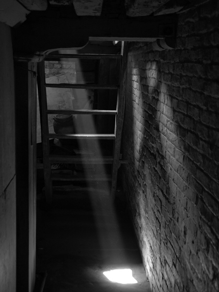 Kliknij na zdjęcie, żeby zobaczyć w pełnych wymiarach