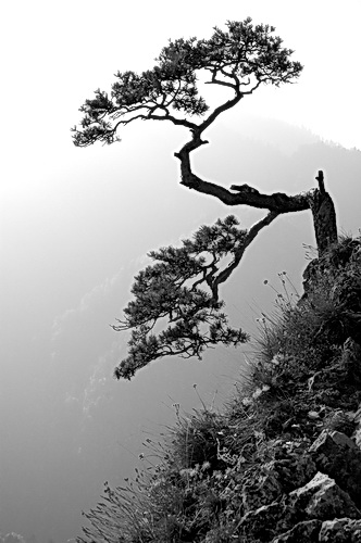 Kliknij na zdjęcie, żeby zobaczyć w pełnych wymiarach