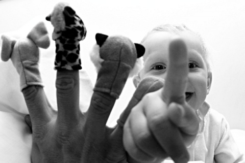 Kliknij na zdjęcie, żeby zobaczyć w pełnych wymiarach