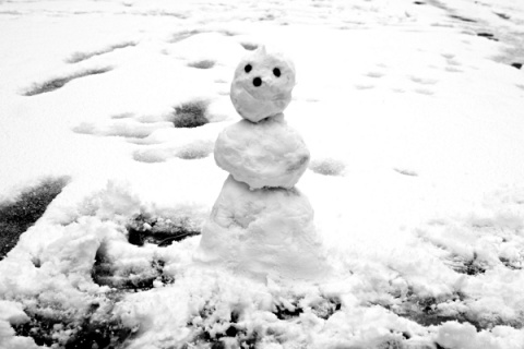 Kliknij na zdjęcie, żeby zobaczyć w pełnych wymiarach