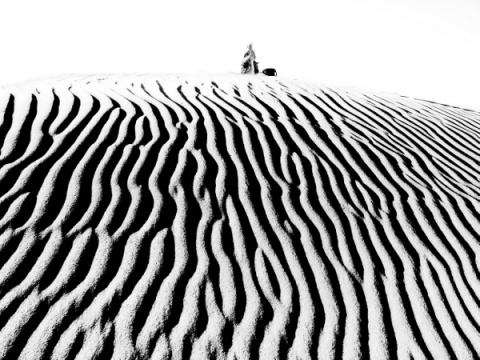 Kliknij na zdjęcie, żeby zobaczyć w pełnych wymiarach