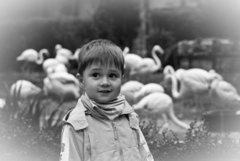 Kliknij na zdjęcie, żeby zobaczyć w pełnych wymiarach