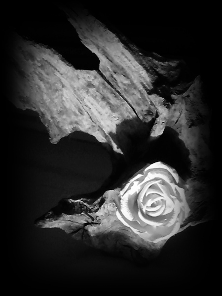 Kliknij na zdjęcie, żeby zobaczyć w pełnych wymiarach