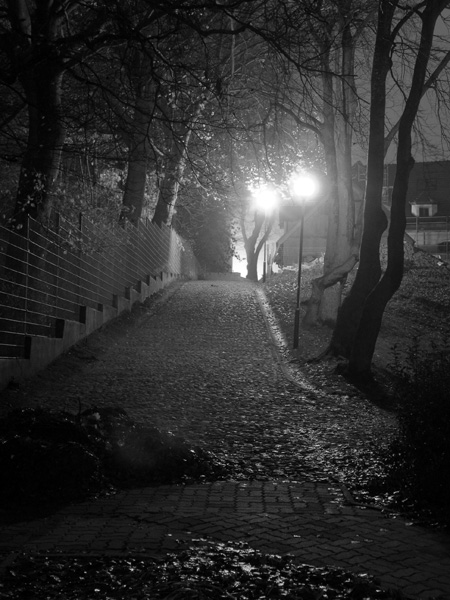 Kliknij na zdjęcie, żeby zobaczyć w pełnych wymiarach