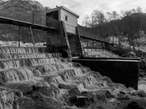 Kliknij na zdjęcie, żeby zobaczyć w pełnych wymiarach