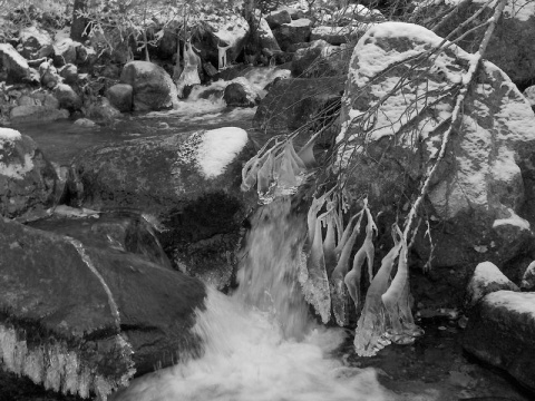 Kliknij na zdjęcie, żeby zobaczyć w pełnych wymiarach