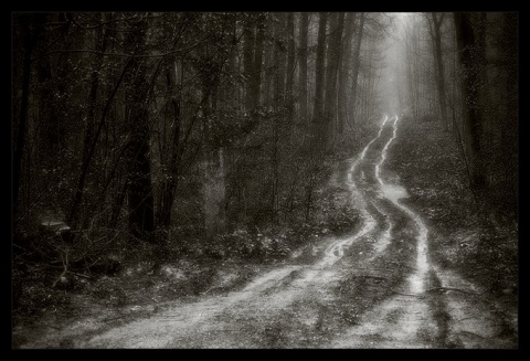 Kliknij na zdjęcie, żeby zobaczyć w pełnych wymiarach