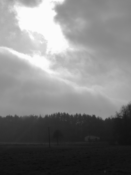 Kliknij na zdjęcie, żeby zobaczyć w pełnych wymiarach
