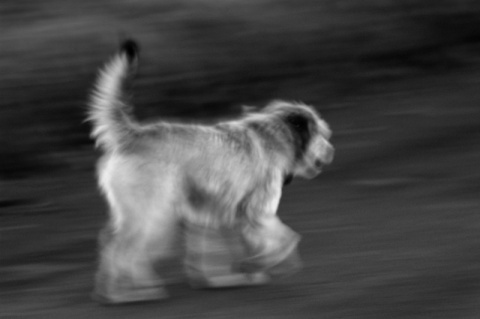 Kliknij na zdjęcie, żeby zobaczyć w pełnych wymiarach