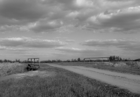 Kliknij na zdjęcie, żeby zobaczyć w pełnych wymiarach