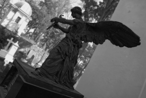 Kliknij na zdjęcie, żeby zobaczyć w pełnych wymiarach