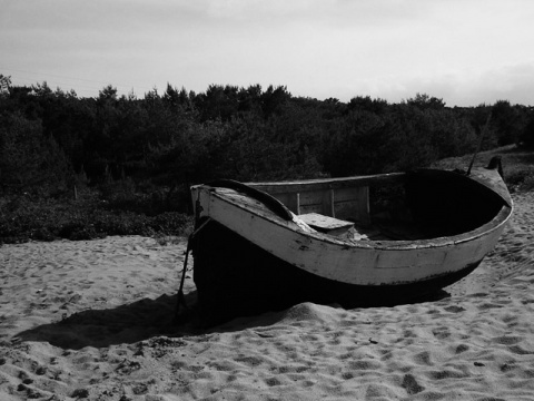 Kliknij na zdjęcie, żeby zobaczyć w pełnych wymiarach