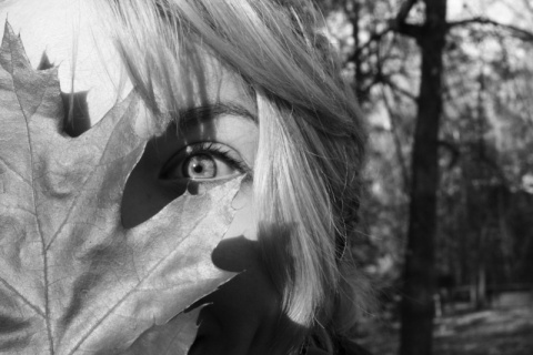 Kliknij na zdjęcie, żeby zobaczyć w pełnych wymiarach