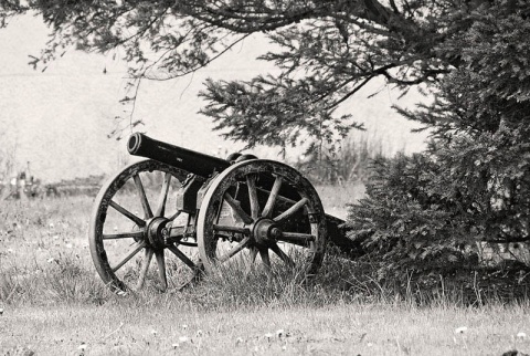 Kliknij na zdjęcie, żeby zobaczyć w pełnych wymiarach