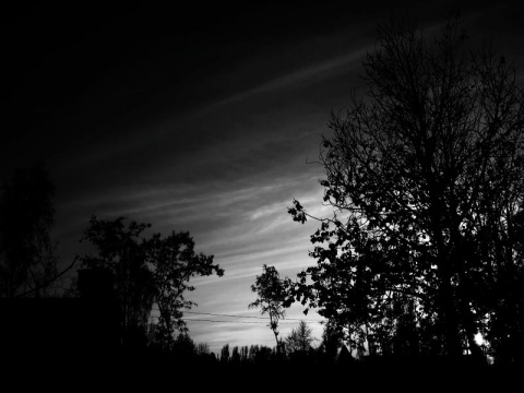 Kliknij na zdjęcie, żeby zobaczyć w pełnych wymiarach