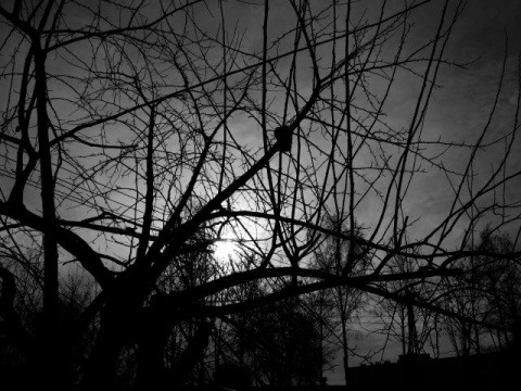 Kliknij na zdjęcie, żeby zobaczyć w pełnych wymiarach