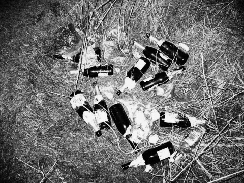 Kliknij na zdjęcie, żeby zobaczyć w pełnych wymiarach