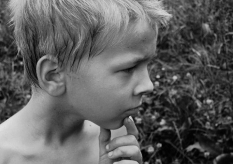 Kliknij na zdjęcie, żeby zobaczyć w pełnych wymiarach