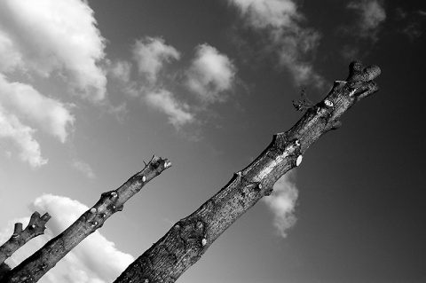 Kliknij na zdjęcie, żeby zobaczyć w pełnych wymiarach