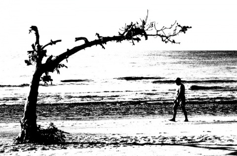 Kliknij na zdjęcie, żeby zobaczyć w pełnych wymiarach