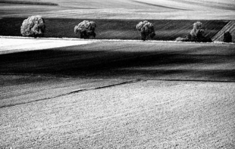 Kliknij na zdjęcie, żeby zobaczyć w pełnych wymiarach