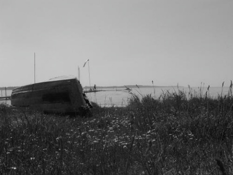 Kliknij na zdjęcie, żeby zobaczyć w pełnych wymiarach