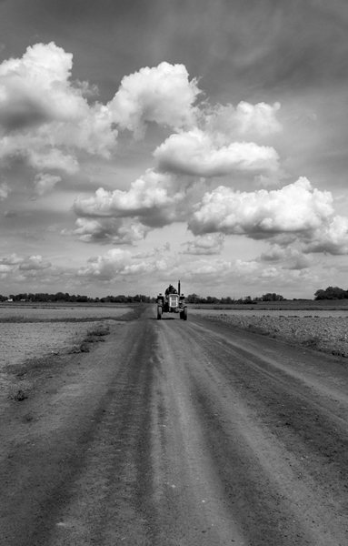 Kliknij na zdjęcie, żeby zobaczyć w pełnych wymiarach