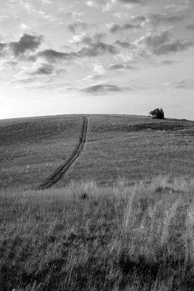 Kliknij na zdjęcie, żeby zobaczyć w pełnych wymiarach