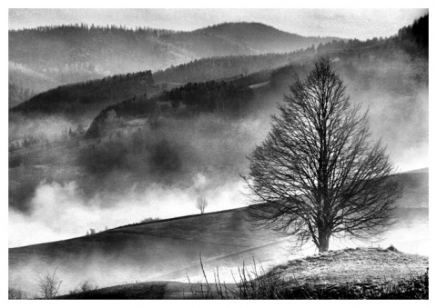 Kliknij na zdjęcie, żeby zobaczyć w pełnych wymiarach