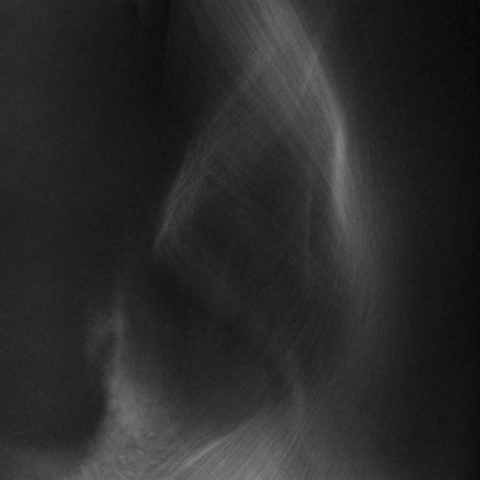 Kliknij na zdjęcie, żeby zobaczyć w pełnych wymiarach