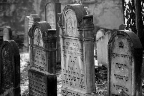 Kliknij na zdjęcie, żeby zobaczyć w pełnych wymiarach