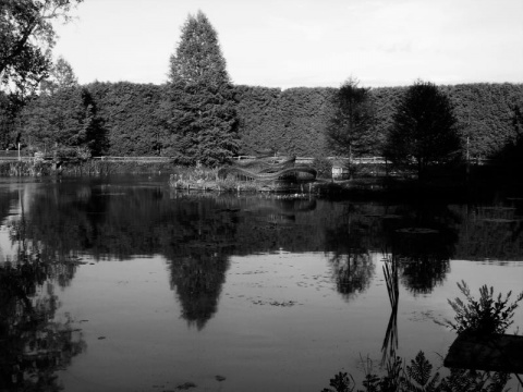 Kliknij na zdjęcie, żeby zobaczyć w pełnych wymiarach