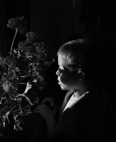 Kliknij na zdjęcie, żeby zobaczyć w pełnych wymiarach