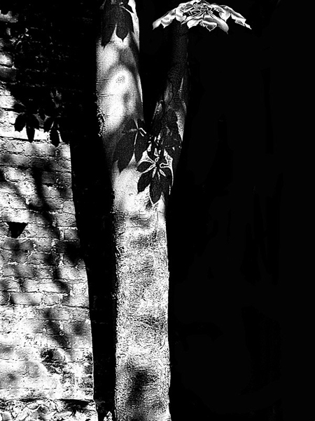 Kliknij na zdjęcie, żeby zobaczyć w pełnych wymiarach