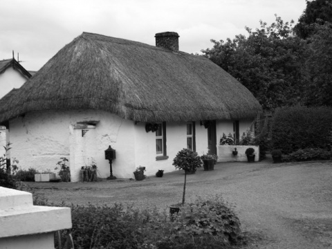 Kliknij na zdjęcie, żeby zobaczyć w pełnych wymiarach