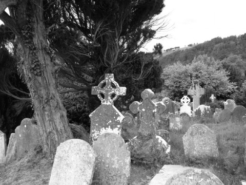 Kliknij na zdjęcie, żeby zobaczyć w pełnych wymiarach