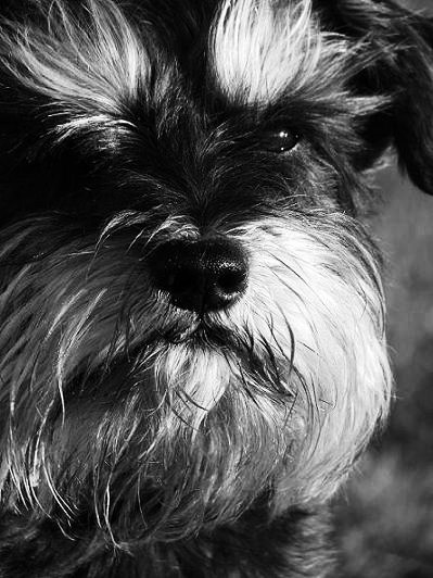 Kliknij na zdjęcie, żeby zobaczyć w pełnych wymiarach