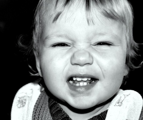 Kliknij na zdjęcie, żeby zobaczyć w pełnych wymiarach