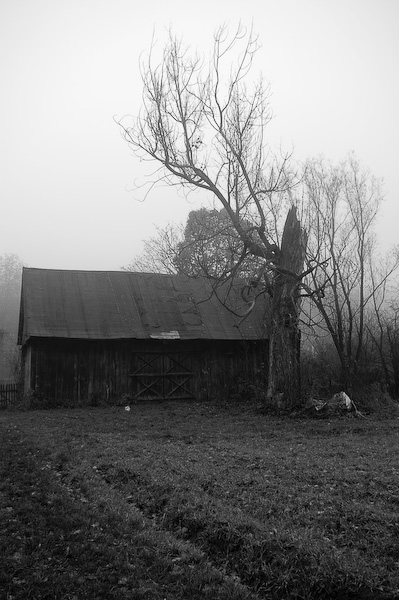 Kliknij na zdjęcie, żeby zobaczyć w pełnych wymiarach