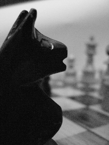 Kliknij na zdjęcie, żeby zobaczyć w pełnych wymiarach