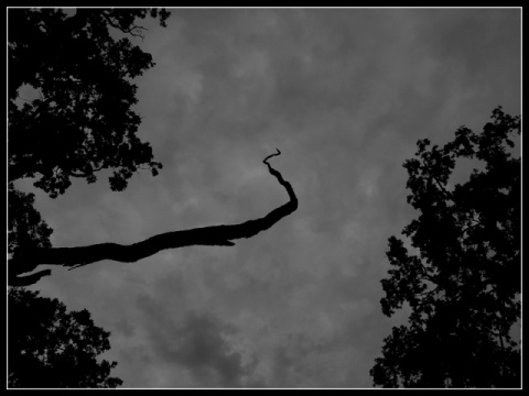 Kliknij na zdjęcie, żeby zobaczyć w pełnych wymiarach