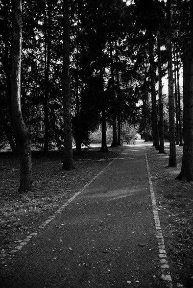 Kliknij na zdjęcie, żeby zobaczyć w pełnych wymiarach