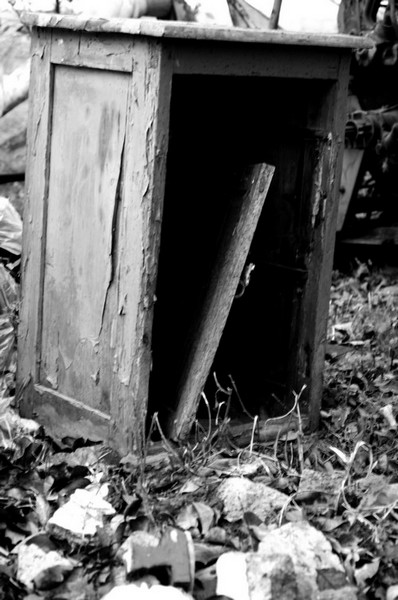 Kliknij na zdjęcie, żeby zobaczyć w pełnych wymiarach