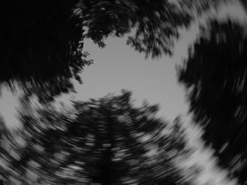 Kliknij na zdjęcie, żeby zobaczyć w pełnych wymiarach