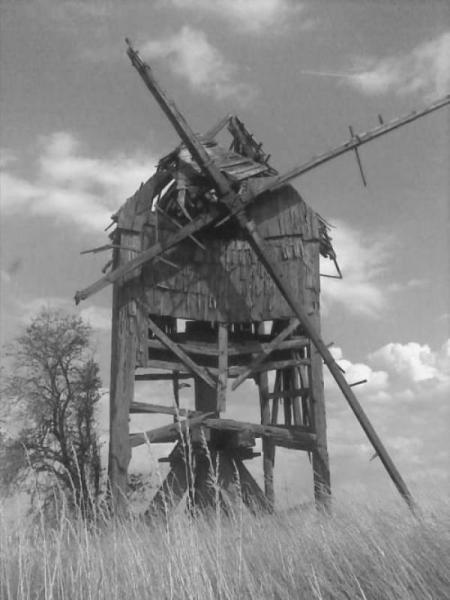 Kliknij na zdjęcie, żeby zobaczyć w pełnych wymiarach