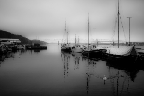 Kliknij na zdjęcie, żeby zobaczyć w pełnych wymiarach