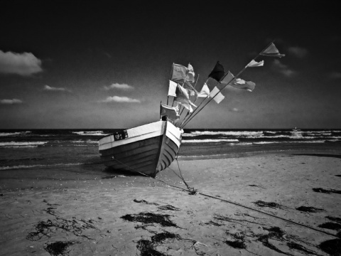 Kliknij na zdjęcie, żeby zobaczyć w pełnych wymiarach