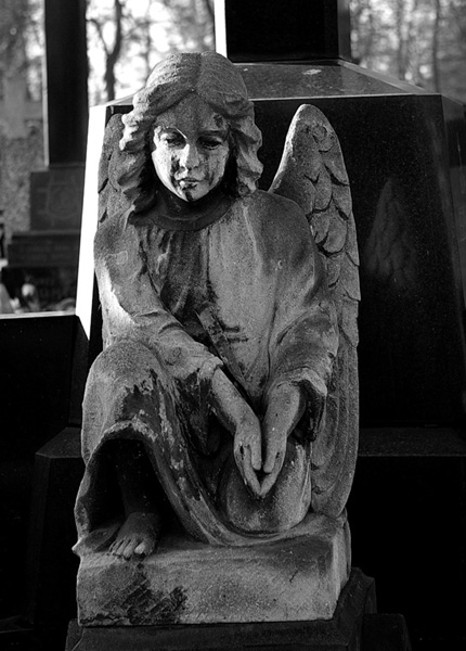 Kliknij na zdjęcie, żeby zobaczyć w pełnych wymiarach