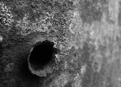 Kliknij na zdjęcie, żeby zobaczyć w pełnych wymiarach