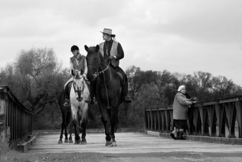 Kliknij na zdjęcie, żeby zobaczyć w pełnych wymiarach